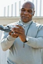 Watch Taking on Tyson Gomovies